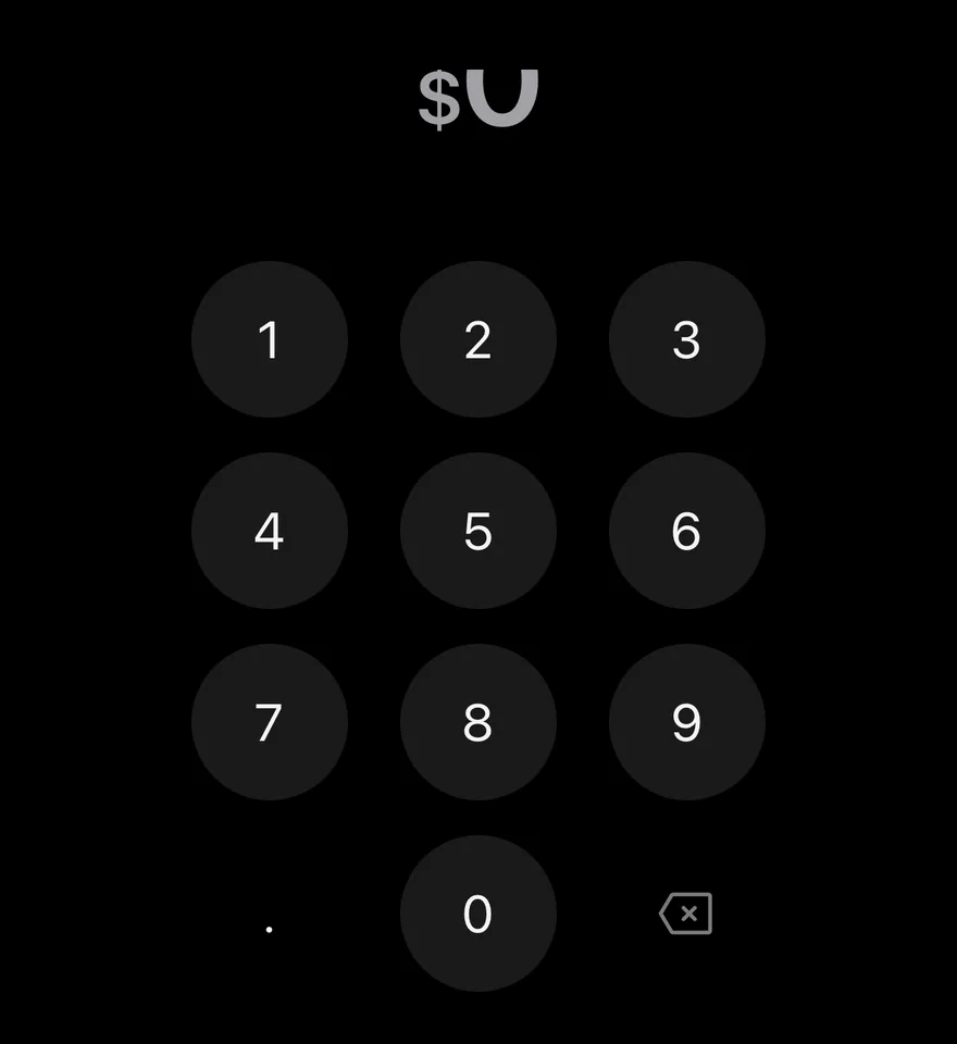 Amount Input on iOS in dark mode