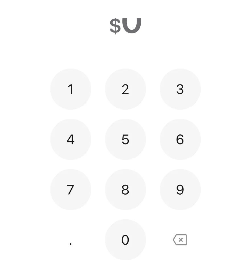 Amount Input on iOS in light mode