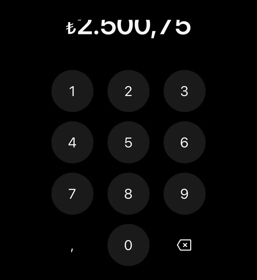 Amount Input (turkish lira) on iOS in dark mode