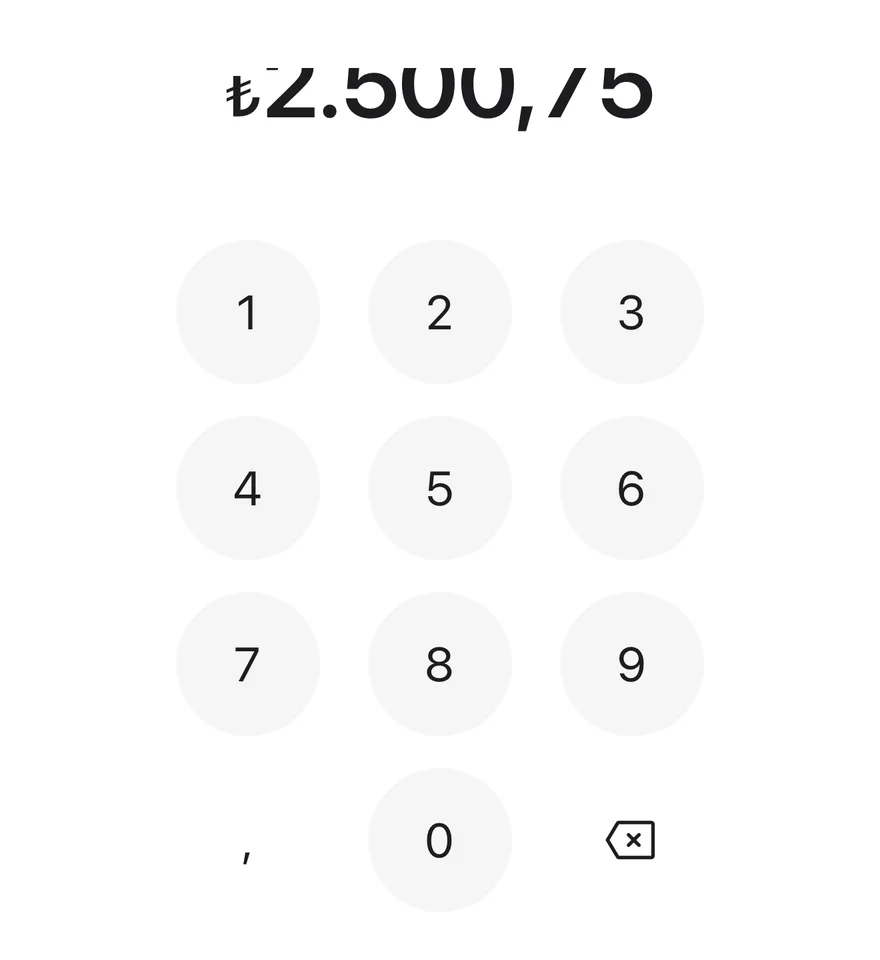 Amount Input (turkish lira) on iOS in light mode