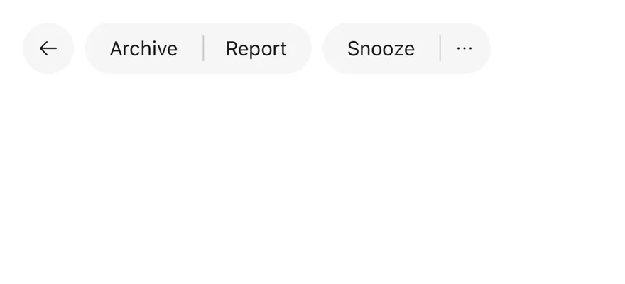Button Group on iOS in light mode