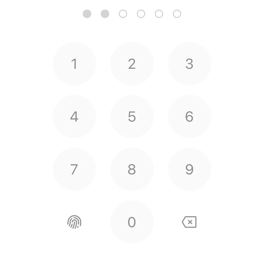 Pin Pad (disabled) on iOS in light mode