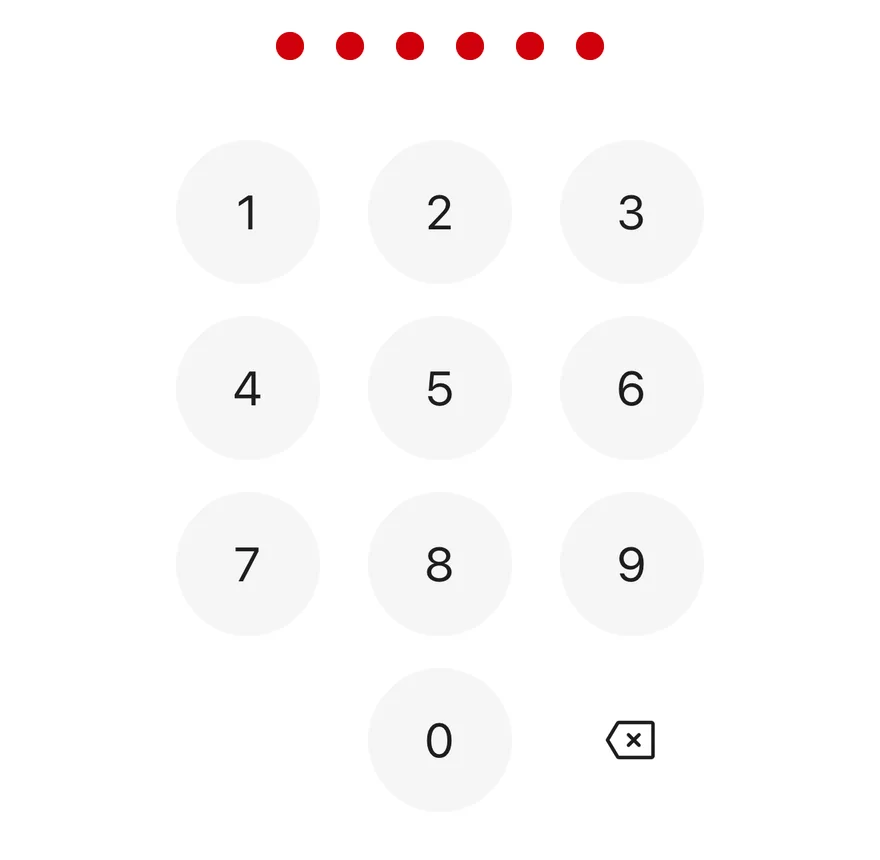 Pin Pad (error state) on iOS in light mode