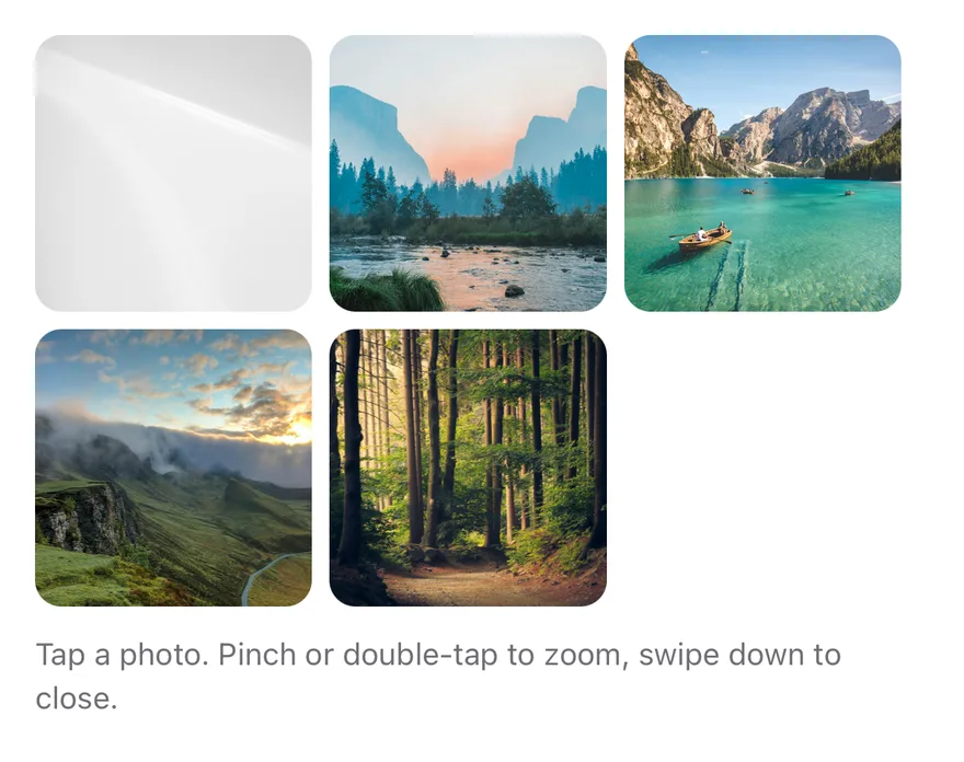 Image Viewer on iOS in light mode