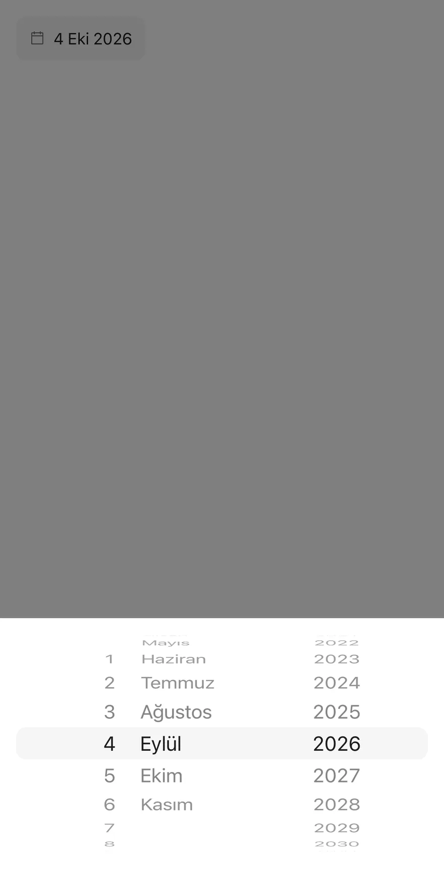 Date Picker (locale) on iOS in light mode
